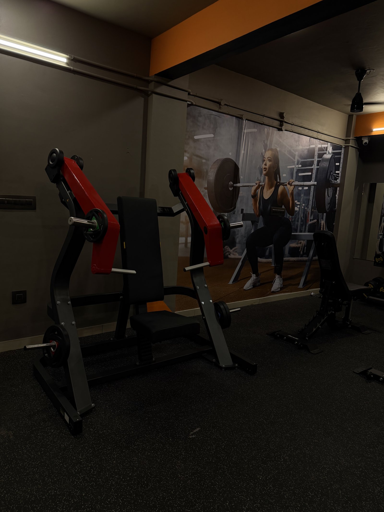 Strength machines and mural wall at Punch Fitness Koratty