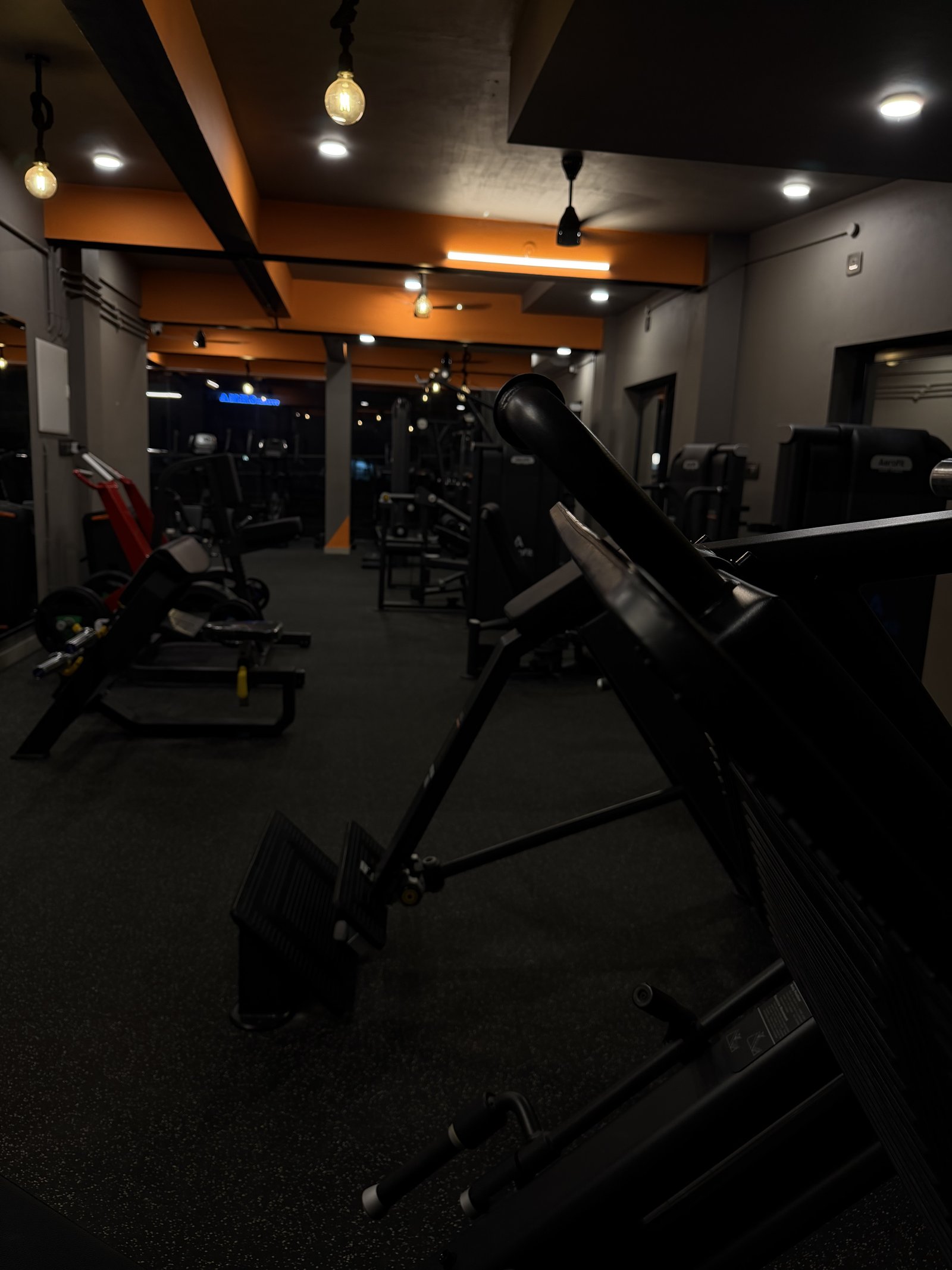 Cable strength station at Punch Fitness gym in Koratty